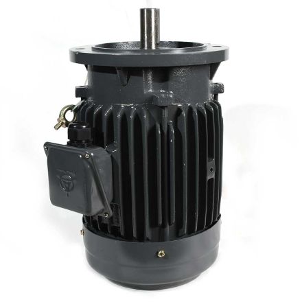 Total Polishing Systems TPSX1MOTOR Replacement Motor For TPSX1
